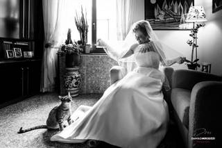 Danilo Mecozzi Photographer - 9