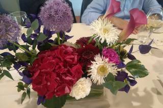 Aromi & Natura Continua - 8