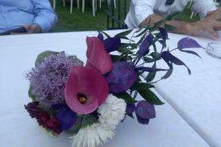 Aromi & Natura Continua - 9