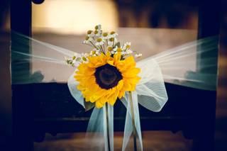 Emanuele Venturi Foto - 5