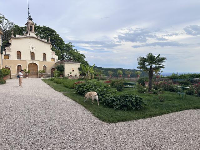 Villa Pellegrini - 1