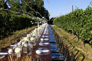 Azienda Vitivinicola Enrico Crola - 8