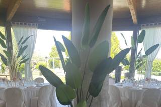 Villa Riviera - 9