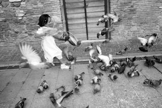 Wedding Stories - 6