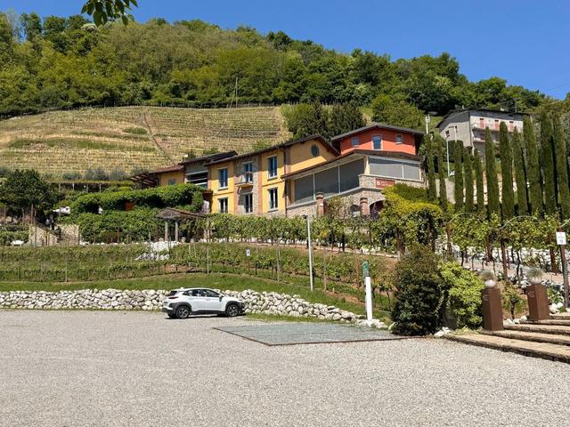 Tenuta Casa Virginia - 3