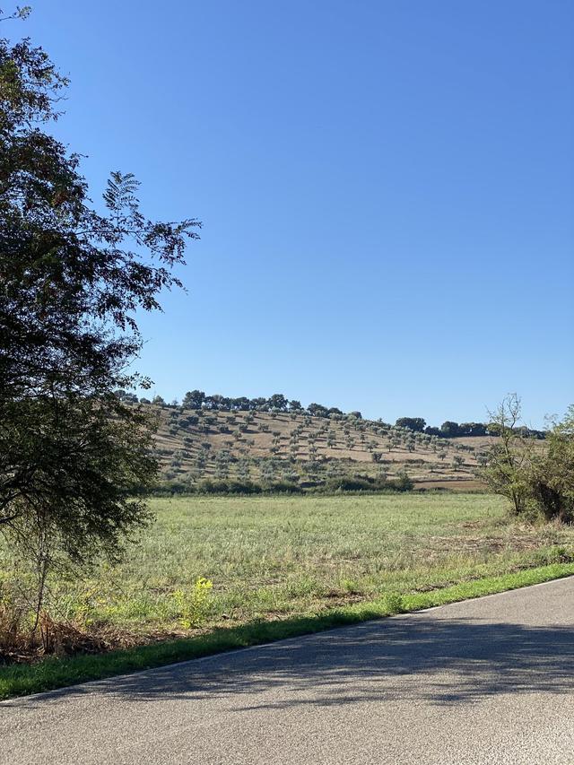 Poggio Cavallo - 4
