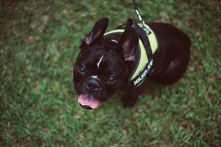 Giulia Molinari Fotografia - 5