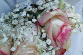 Fiorista Daniela - 14