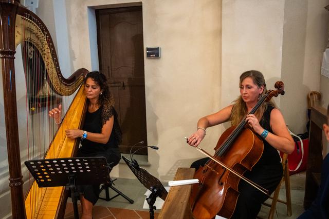 Arpa per Eventi - 3