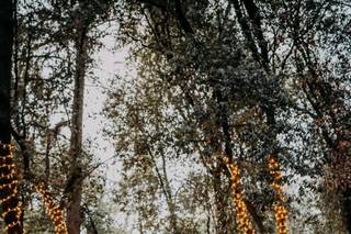Nevio Arcangeli Fotografie - 21