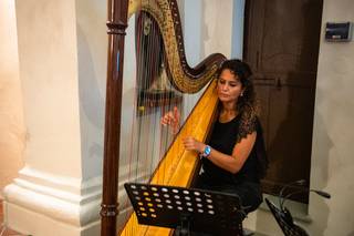 Arpa per Eventi - 6