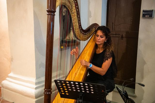 Arpa per Eventi - 4