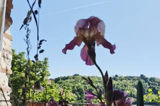 Cascina Montena - 6