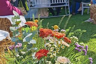 Agriturismo Il Melo Rosso - 6