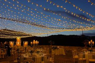 Tenuta La Borriana - 21