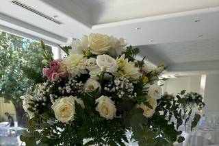 L’Oasi Show Room - 7