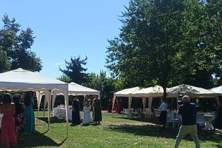 Fattoria Roico - 6