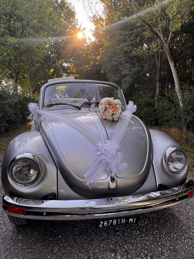 Beetle on dream - 2