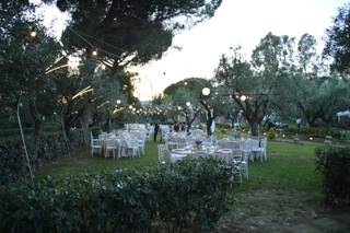 M&M Catering and Banqueting - 8