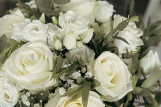 La Viola... e il Pensiero - 22