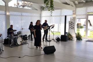 Blue Velvet Project - 8