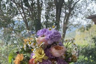 Bottega Floralia - 5