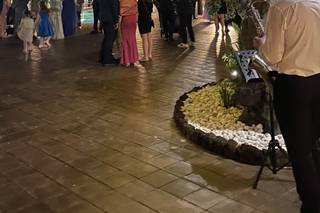 Blue Velvet Project - 7