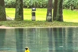 Partenze in corso - 20