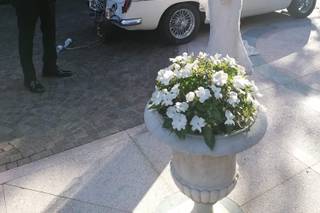 Classic Rental Cars - 20