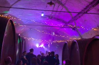 Pvlse - Music & Lights - 11