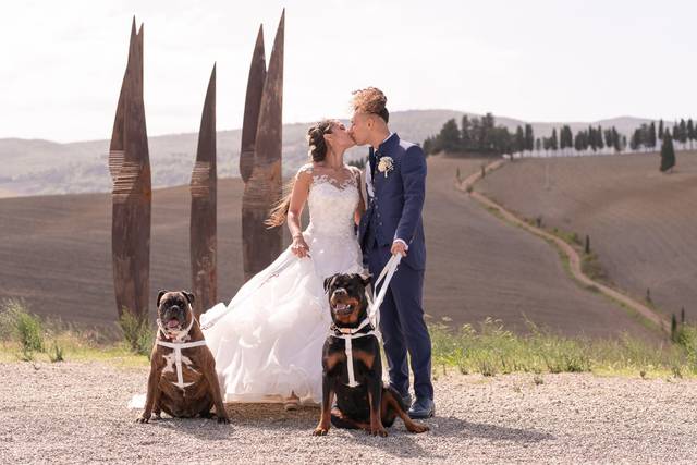 Family Dog's 1