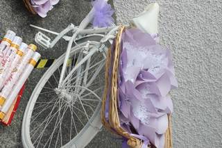 Green Service Paleari - 8