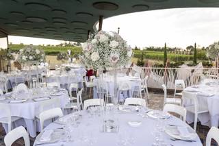 Tenuta Biodinamica Mara - 9