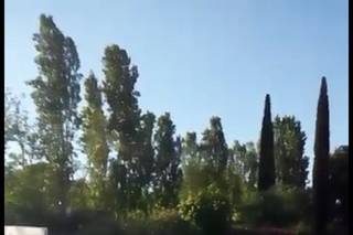 I Giullari del 2000 - 9