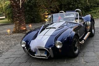 Princess Wedding Car - 15