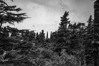 Villa Guicciardini - 9