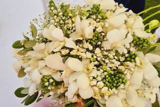 Vulcano dei Fiori - 12