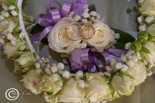 Butterfly Fiori - 10