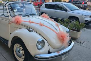 Il maggiolone di Adelsa - 5