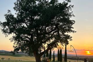 Dimora Buonriposo - 7