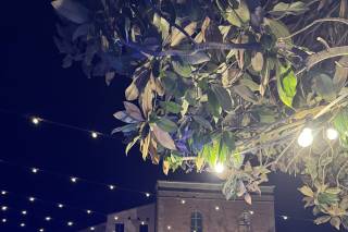 Amore Armonico - 6