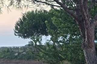 Popilia Country Resort - 7