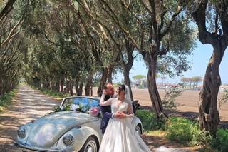Havana Events & Wedding Planner - 6
