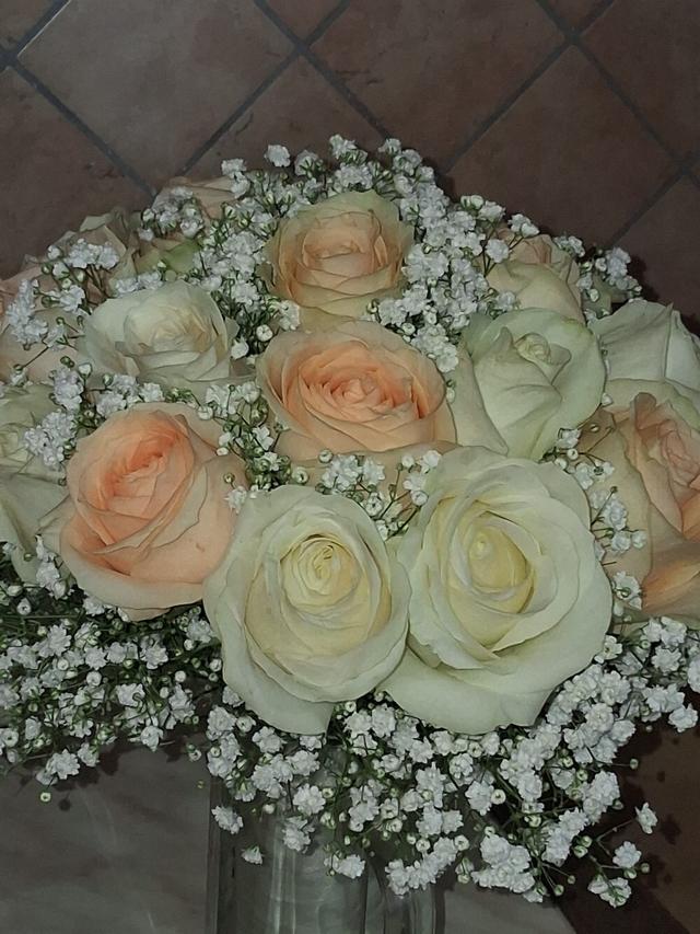 Il Tulipano di Maccarrone Antonino - 2