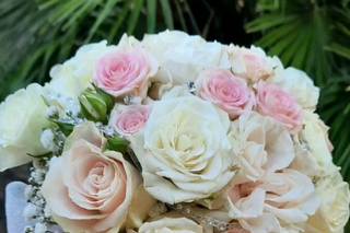 Il giardino delle palme - 17