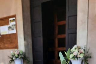 Il giardino delle palme - 19