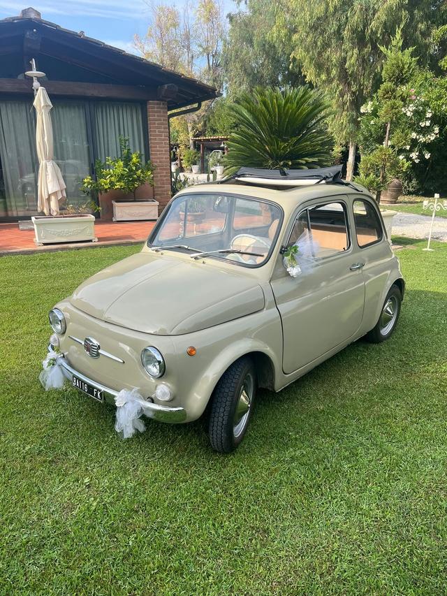 Noleggio Alina di Paola Grossi - 1