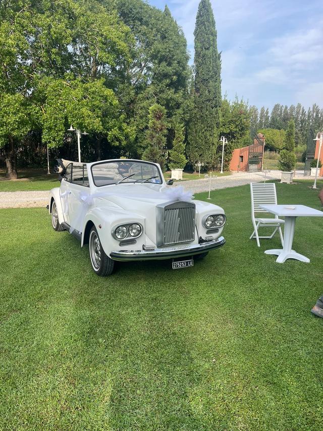 Noleggio Alina di Paola Grossi - 2