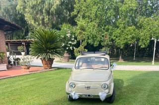 Noleggio Alina di Paola Grossi - 7