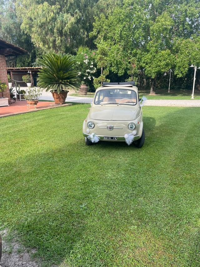 Noleggio Alina di Paola Grossi - 3
